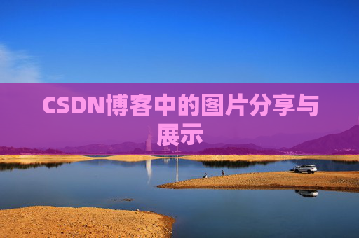 CSDN博客中的图片分享与展示